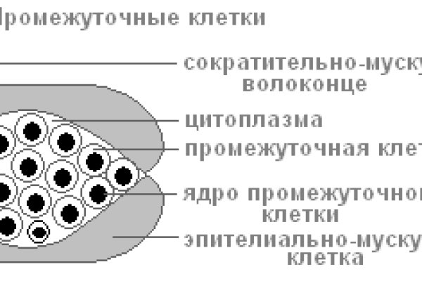 Кракен наркоз магазин